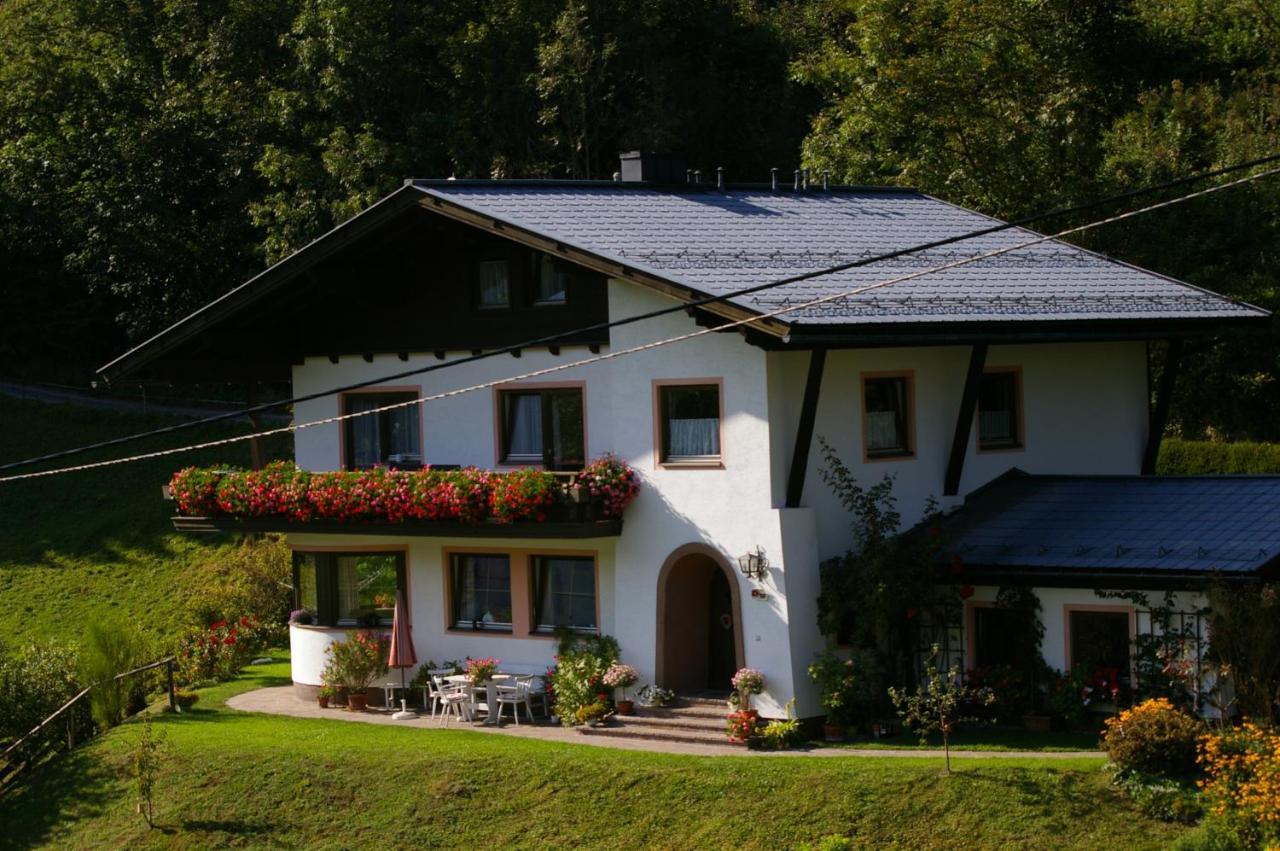 Haus Brigitte Rettensteiner 斯拉德明 外观 照片